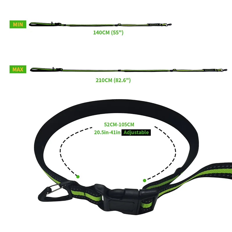 Hands Free High Qulity Retractable Hands Free Dog Leash for Running Dual Handle Bungee Leash Reflective for Large Pet Supplies