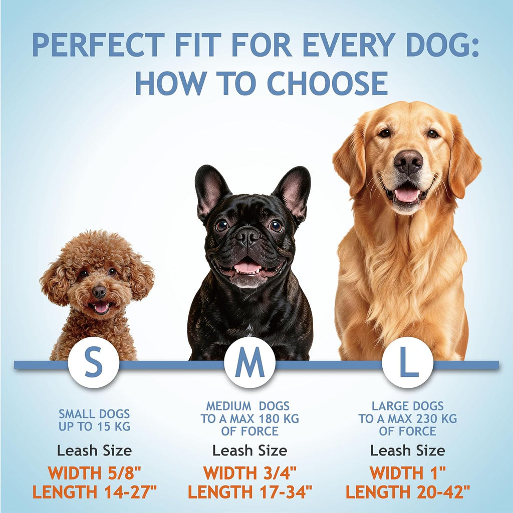 Kruz Double Dog Leash for Two Dogs (Width - 5/8”, Length 14”-27”) Dual Leash Coupler with Tangle-Free Swivel, Shock-Absorbing Reflective Bungee for Comfortable Walking & Training (Blue, Small)